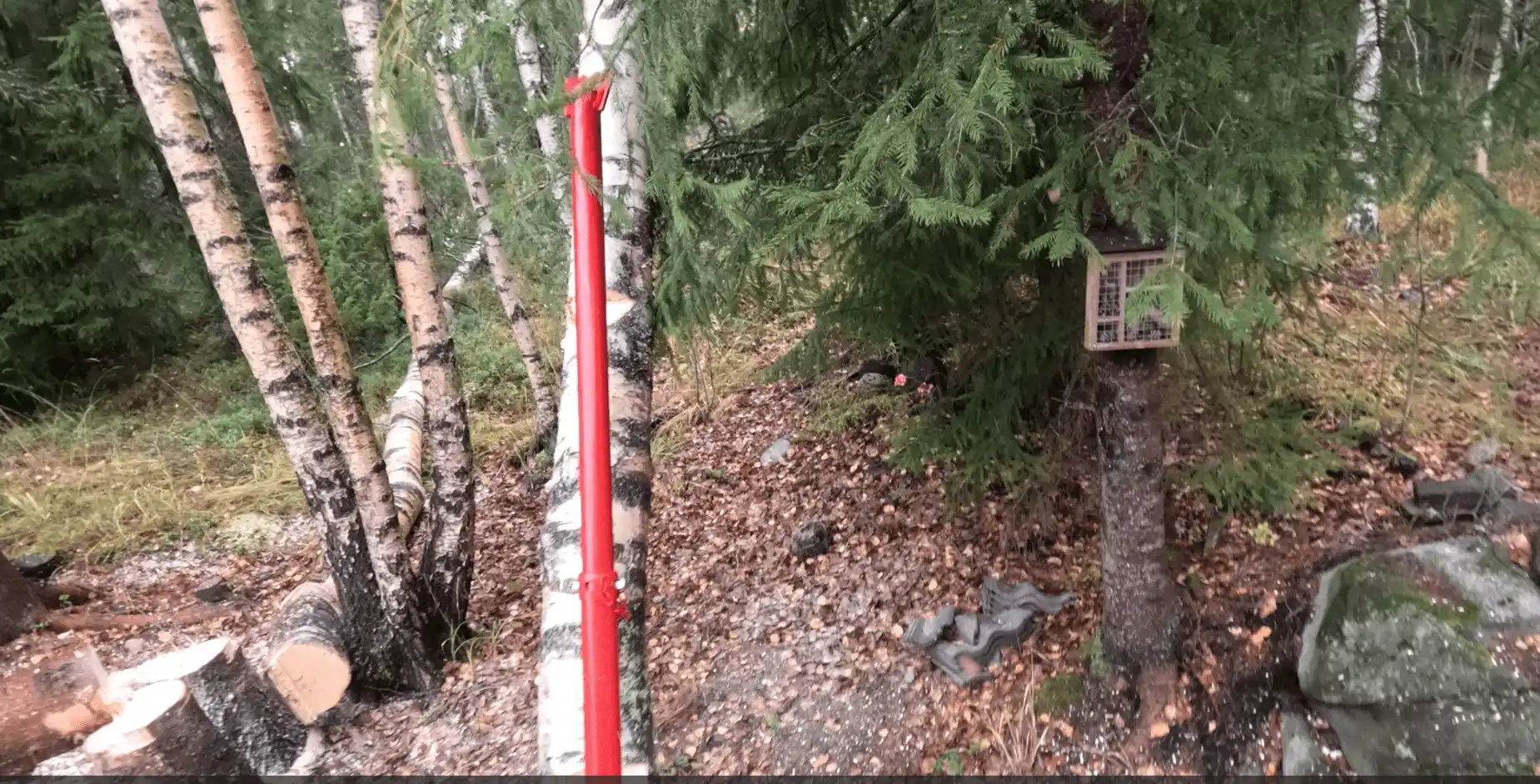 Puunkaato Ylöjärvellä kaatotunkin avulla tiheässä tontin rajassa