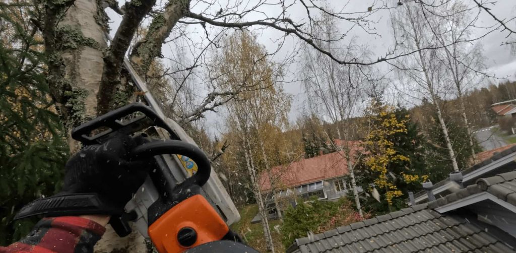 Ongelmapuun kiipeilykaato talon katon tuntumassa pirkanmaalla